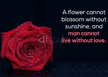 Romantic love quotes-a flower cannot