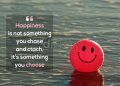 best quotes about happiness joy-happiness is not
