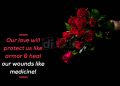 Super sweet love quotes-our love will protect