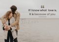 Cute love quotes-if i know