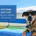 Awesome Cool Quotes-Just keep