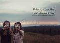 Fantastic Friendship Quotes-Friends are the sunshine
