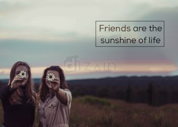 Fantastic Friendship Quotes-Friends are the sunshine