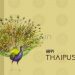 Happy Thaipusam Wishes 2021