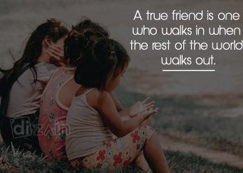 Cute Friendship Quotes-A true friend is one