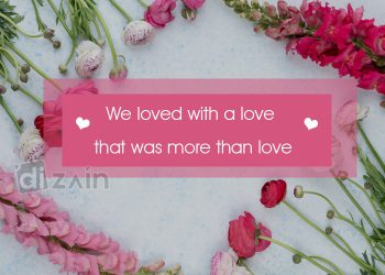 Fantastic Love Quotes-We loved with a love