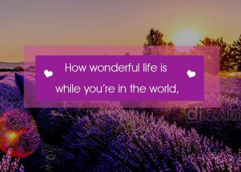 Love Life Quotes-how wonderful life