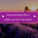 Love Life Quotes-how wonderful life
