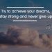 Wonderful dream quotes-Try to achieve
